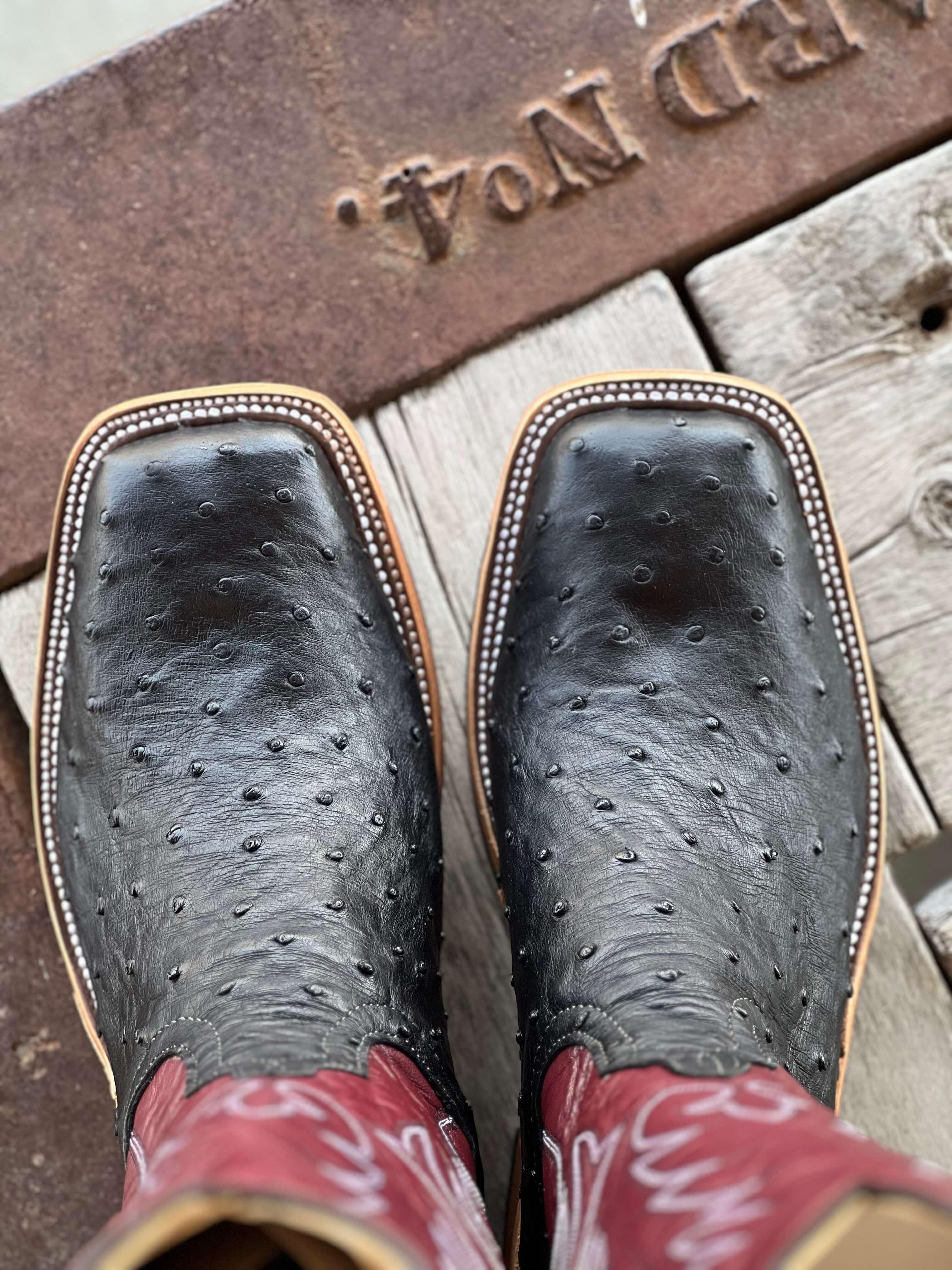 Anderson Bean | Black FQ Ostrich Sangria Boot - Image 3