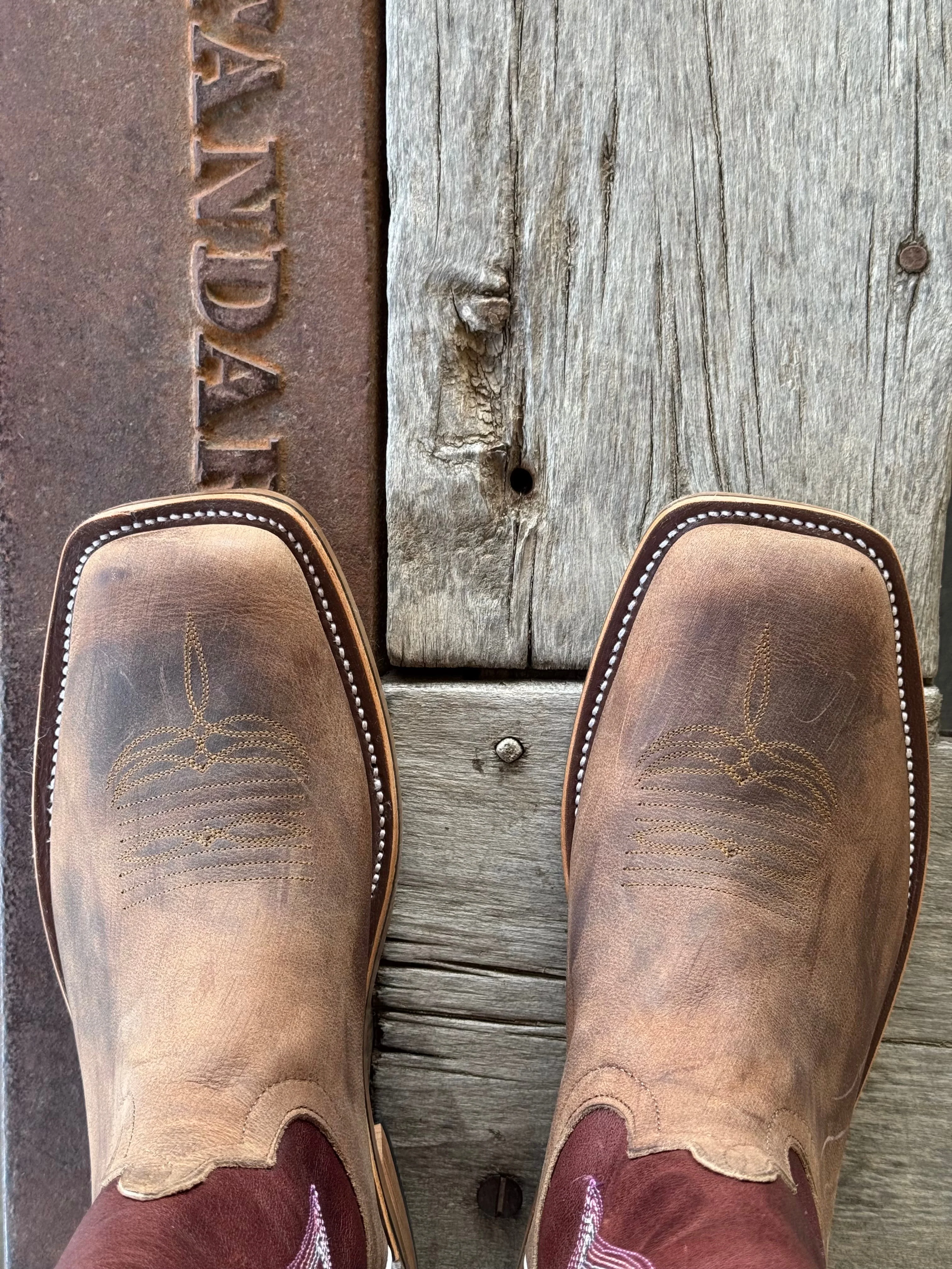 Anderson Bean | Sand Angry Elk Tall Top Boot - Image 3