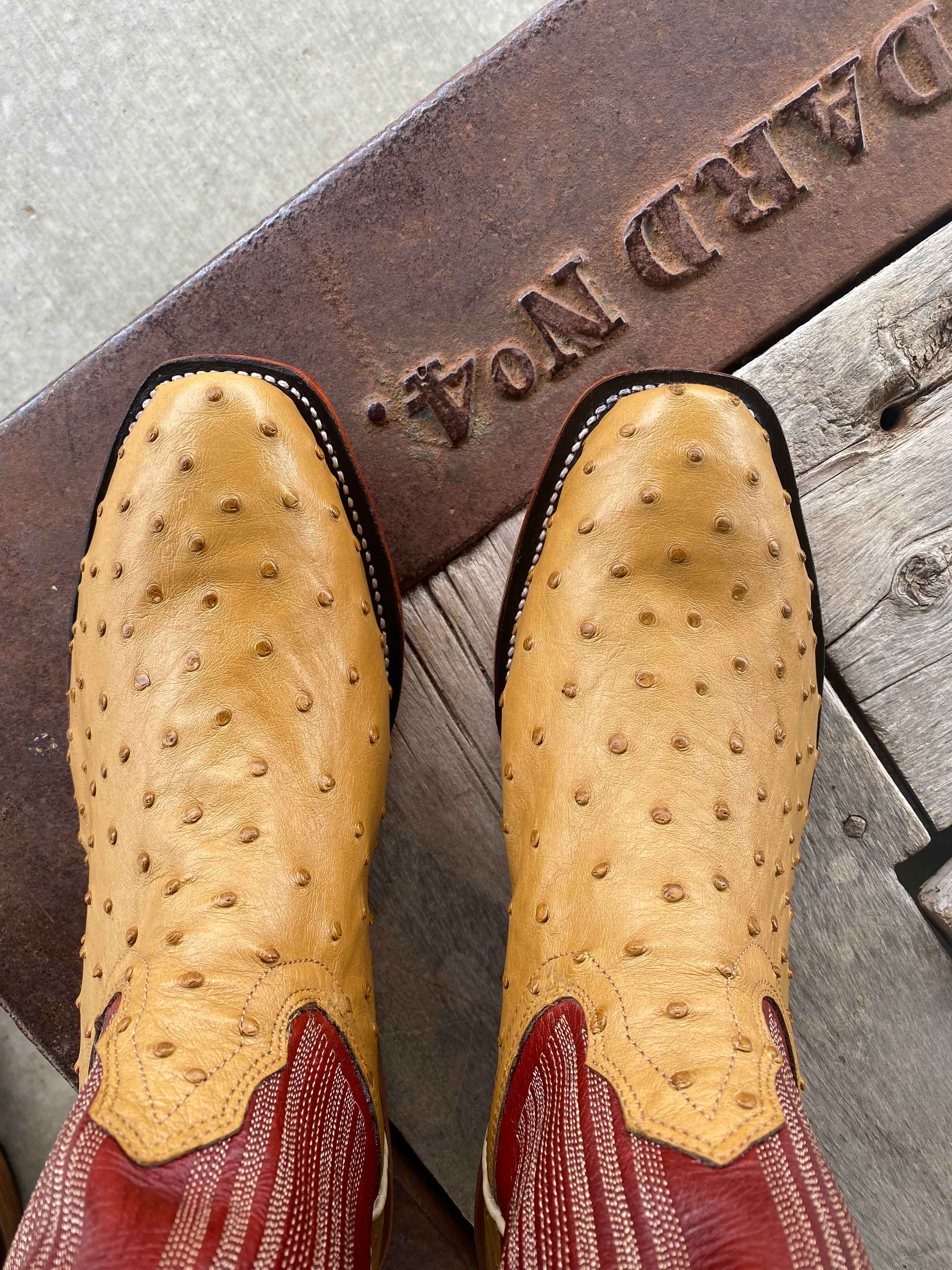 Fenoglio Boot Co. | Antique Saddle Full Quill Ostrich Boot - Image 3