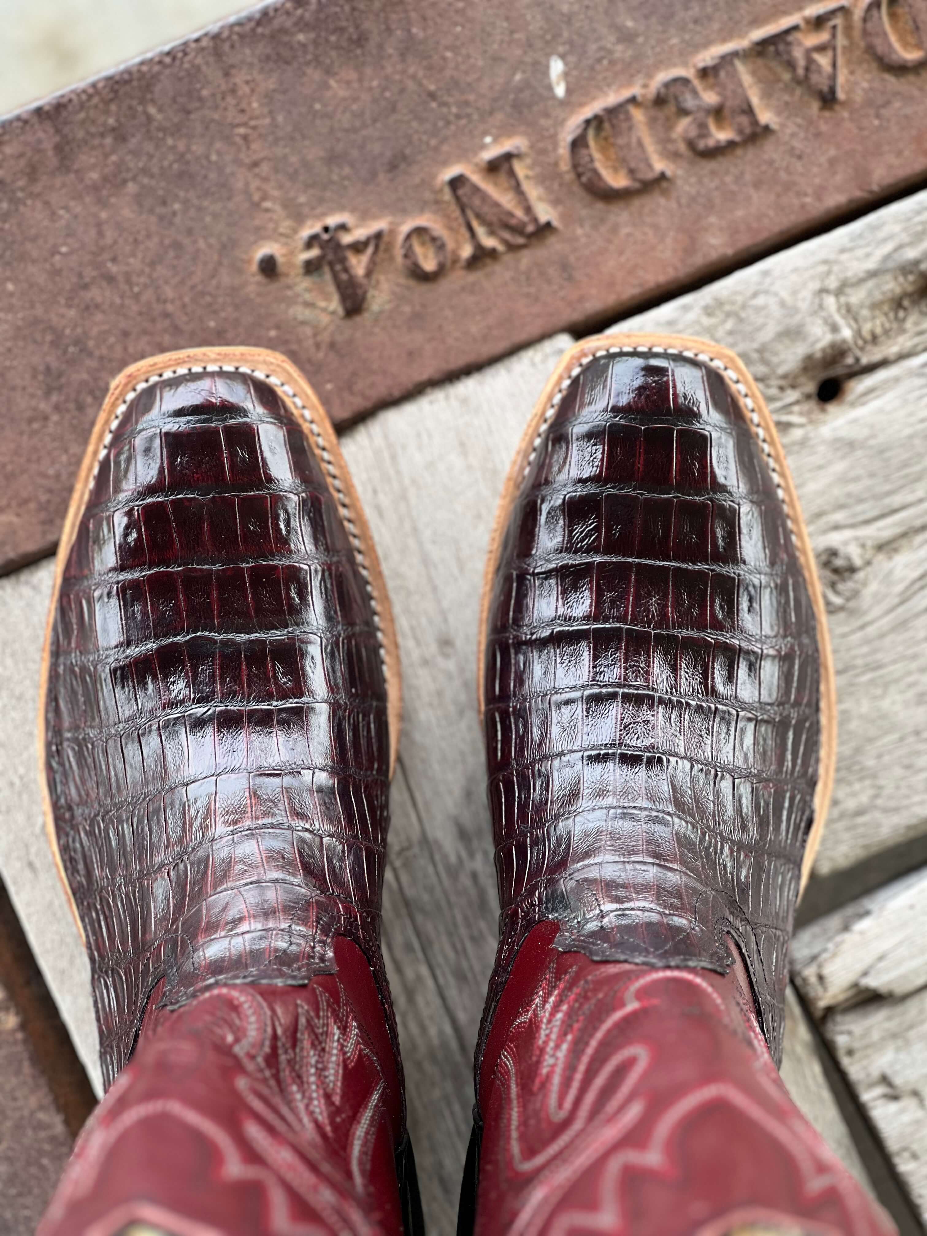 Fenoglio Boot Co. | Black Cherry Caiman Boot - Image 3
