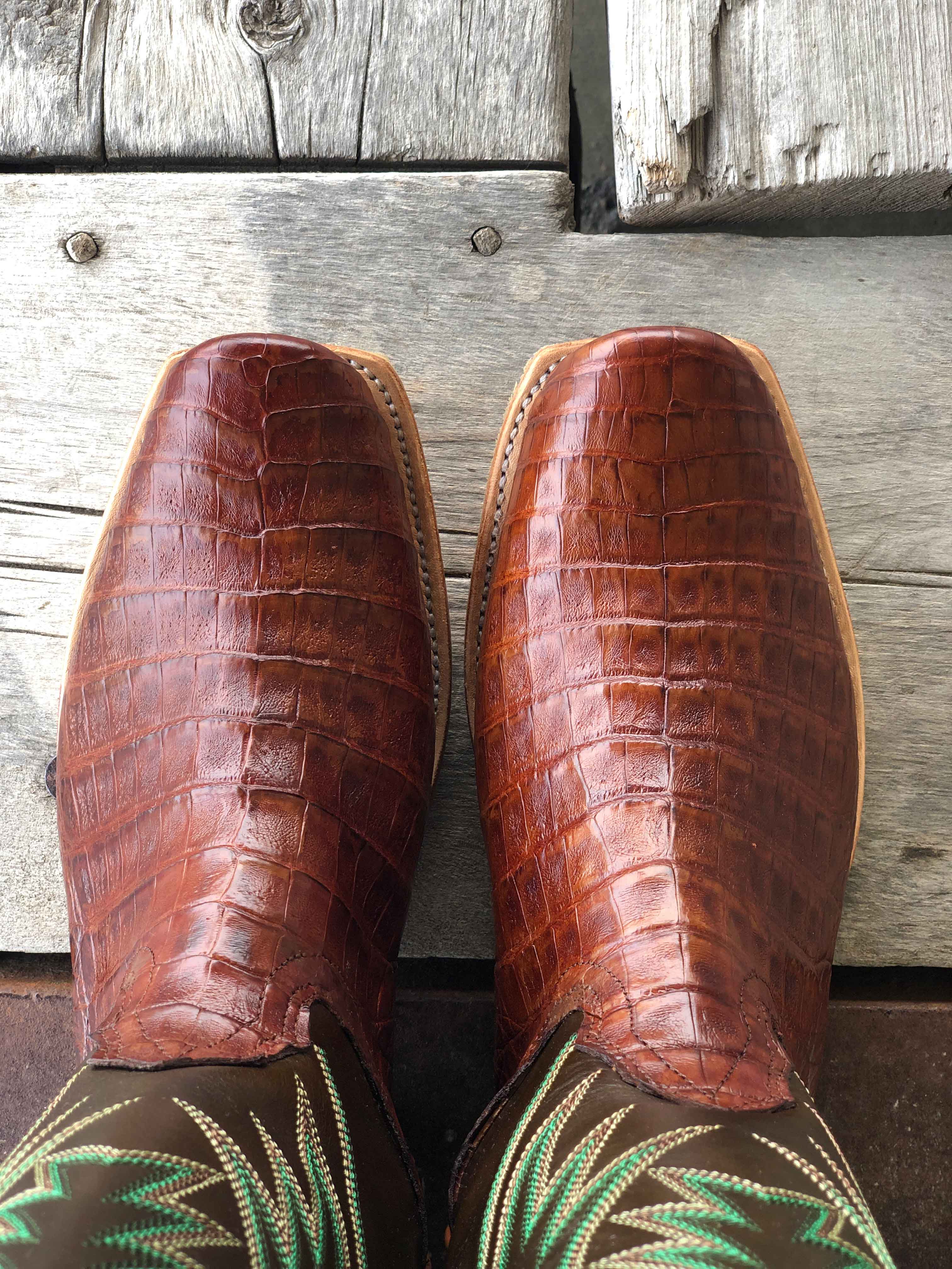Fenoglio Boot Co. | Chasi Brown Caiman Belly Boot - Image 3