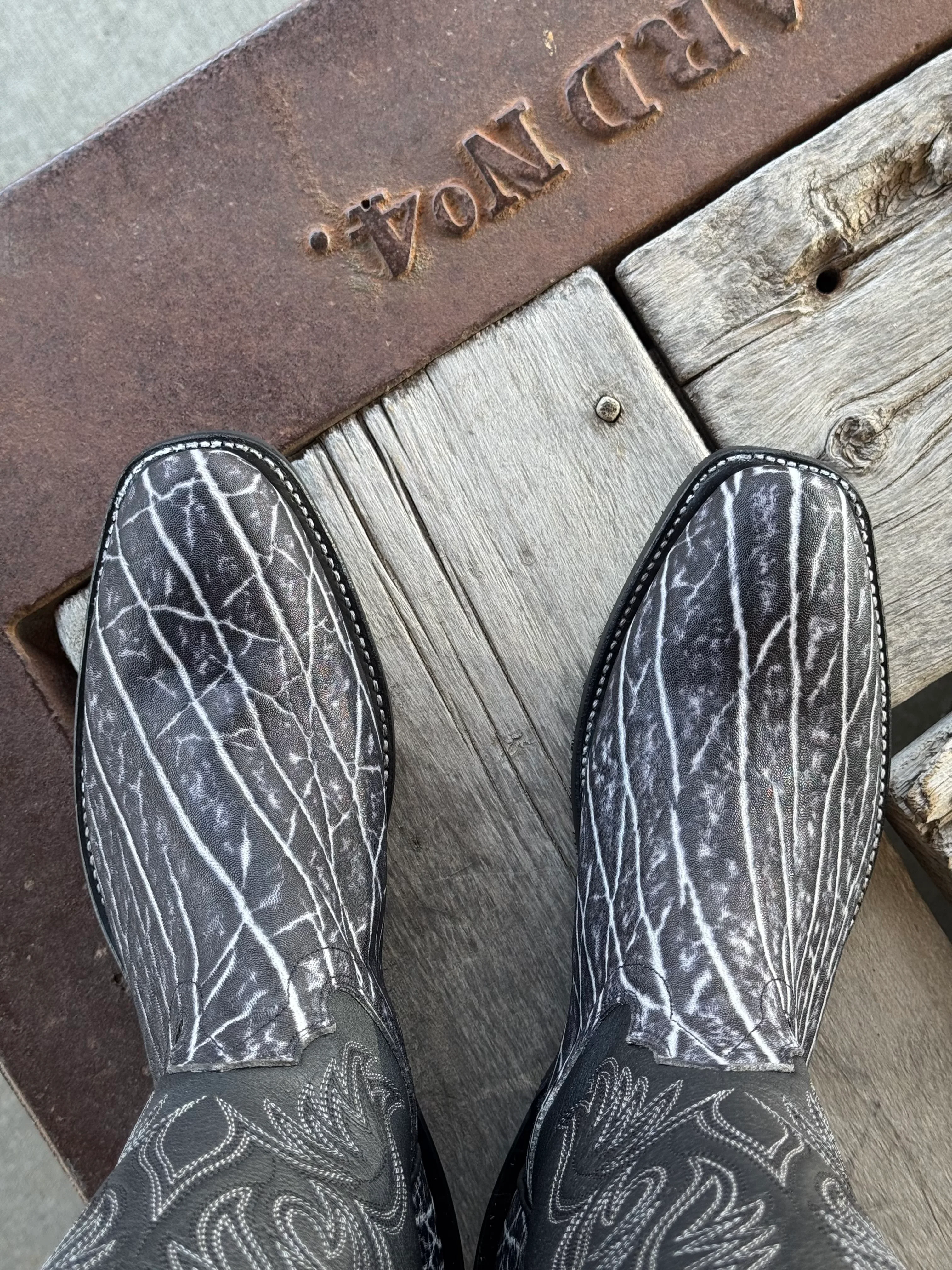 Fenoglio Boot Co. | Cookies N Cream Elephant Boot - Image 3
