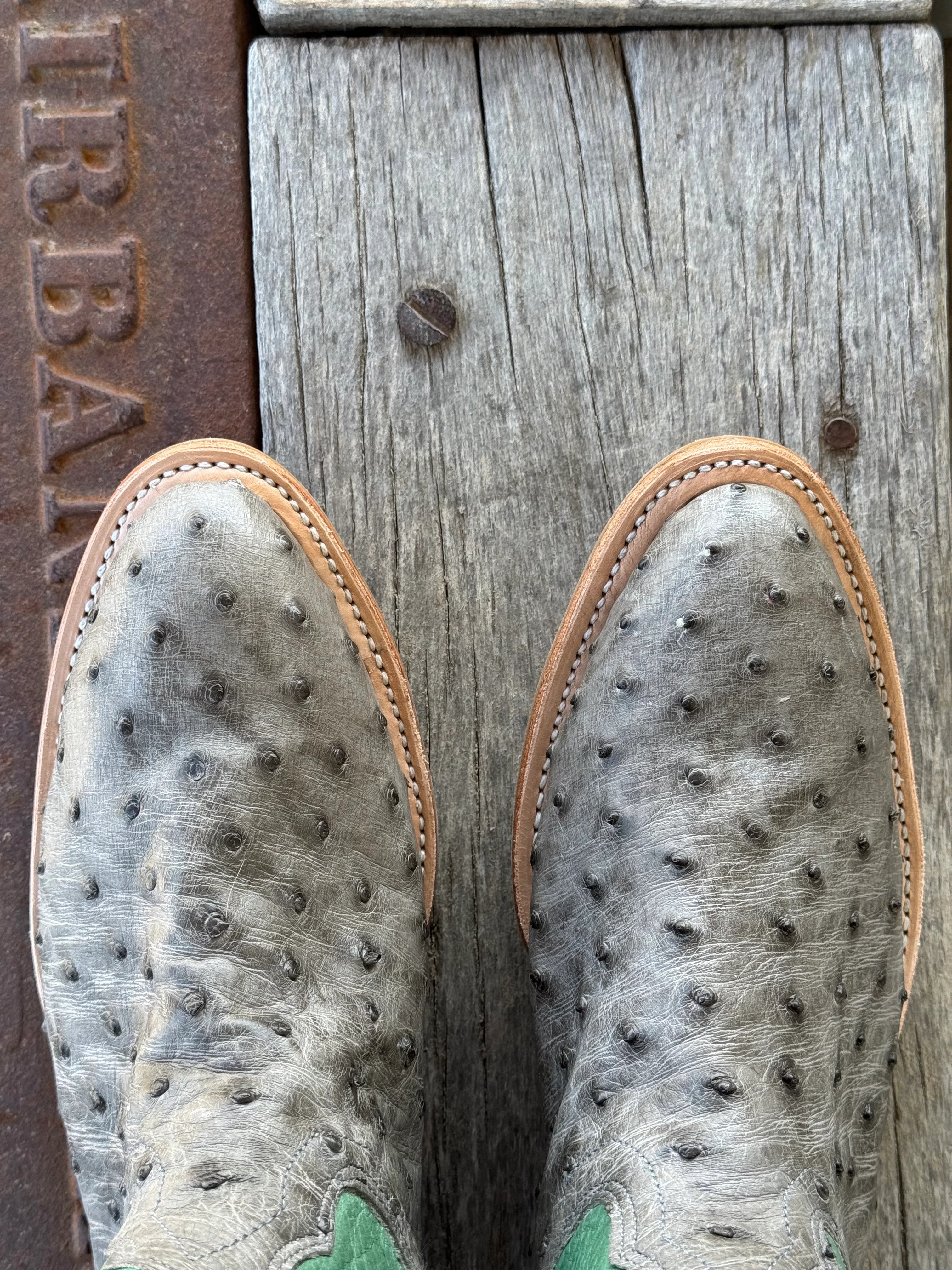 Fenoglio Boot Co. | Serpentine FQ Ostrich Boot - Image 3