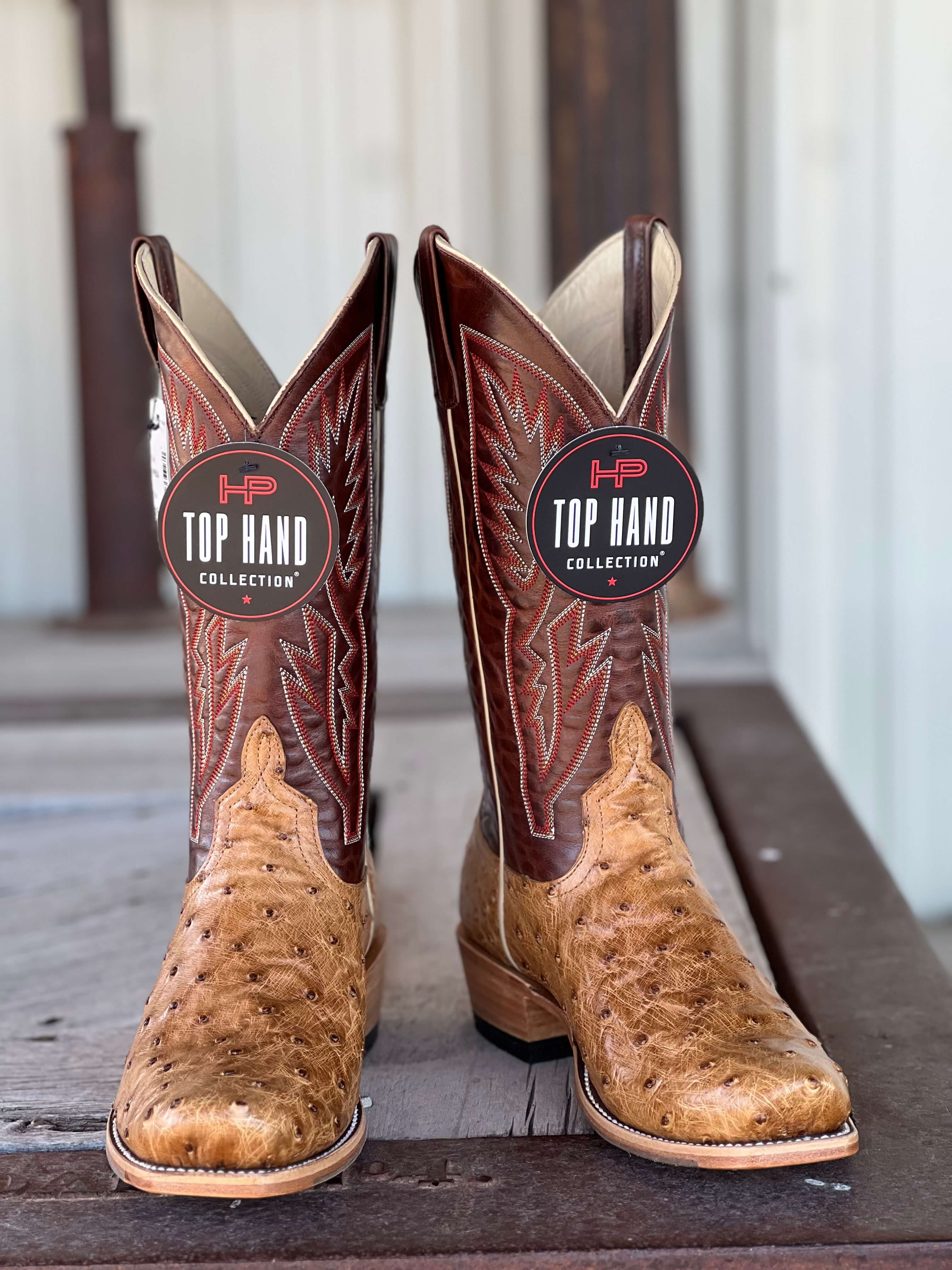 Horse Power Top Hand | Antique Saddle FQ Ostrich TK Toe Boot