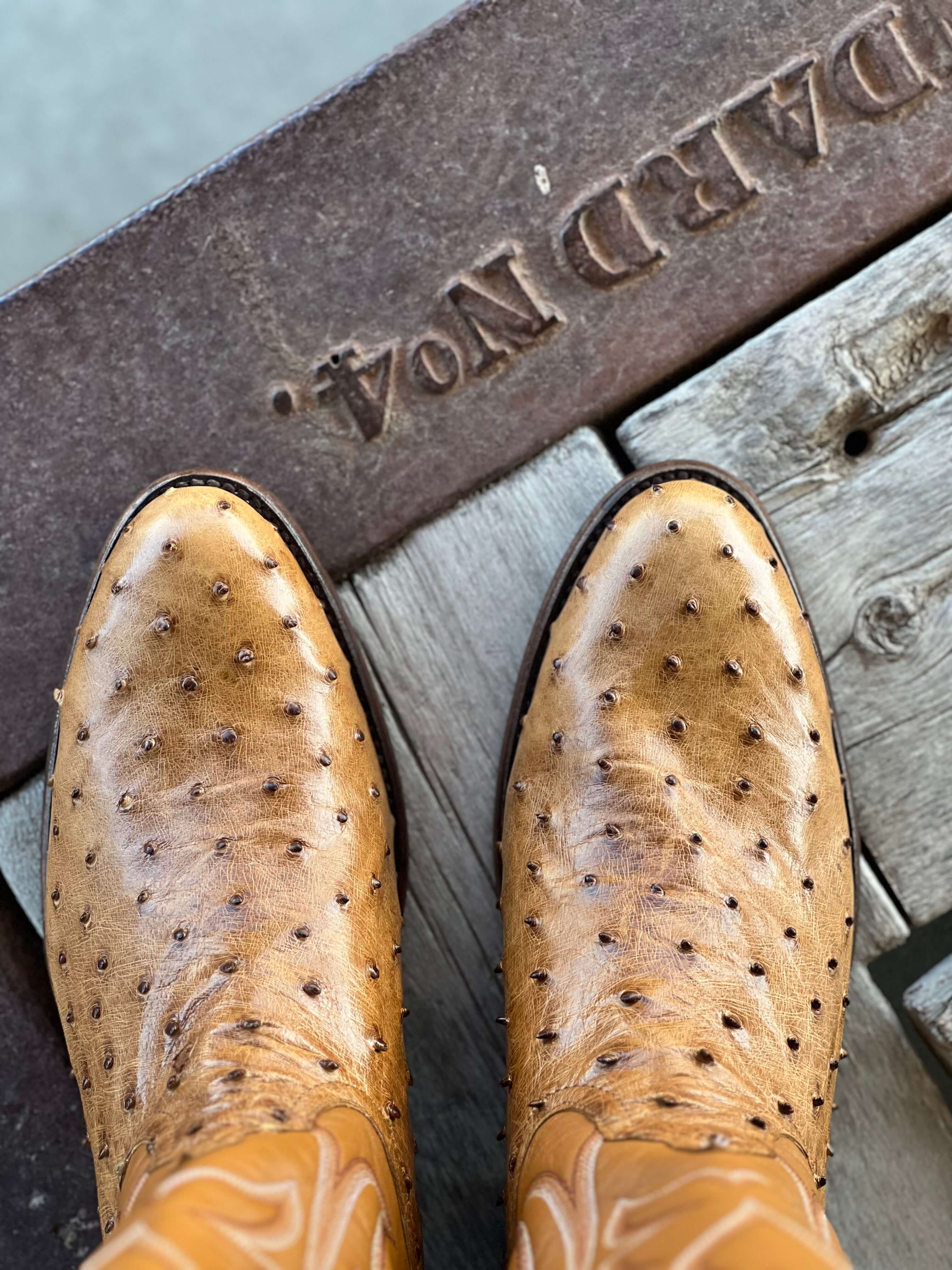 Horse Power Top Hand | Antique Saddle FQ Ostrich CR Toe Boot - Image 3
