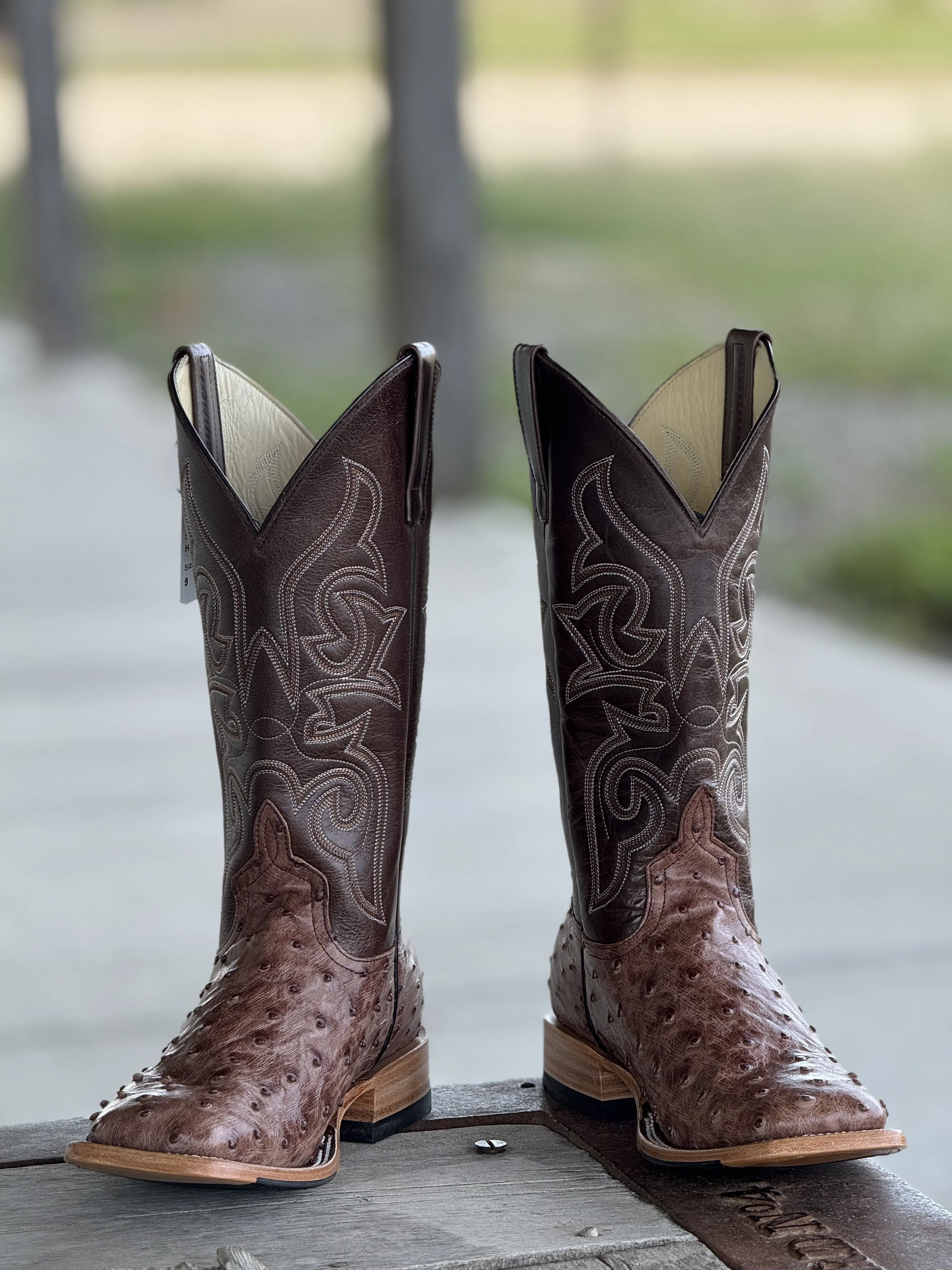 Horse Power Top Hand | Kango Tobacco FQ Ostrich Boot