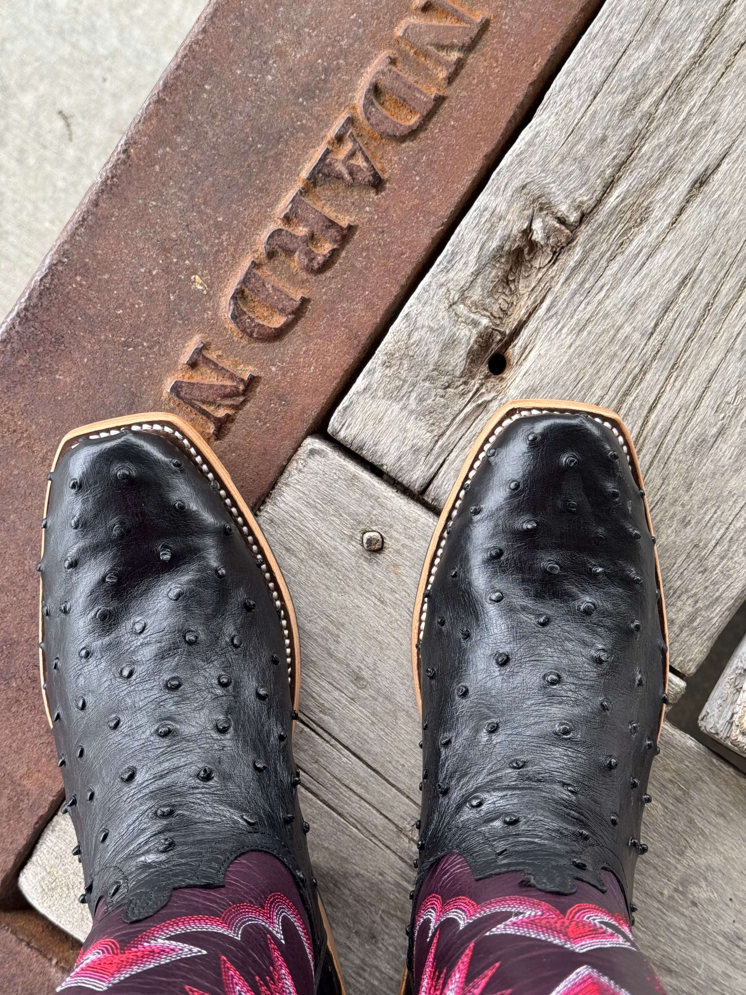 Macie Bean Top Hand | Black FQ Ostrich Ladies Boot - Image 3