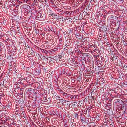 Wyoming Traders | Paisley Wild Rag - Image 13