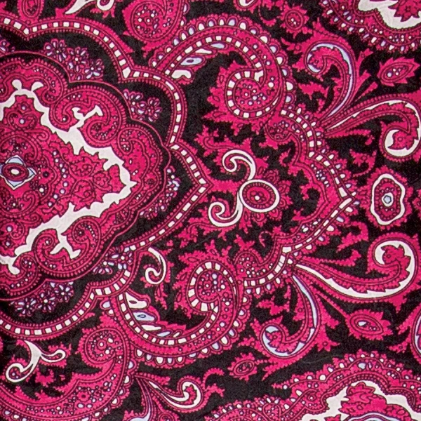 Wyoming Traders | Paisley Wild Rag - Image 15