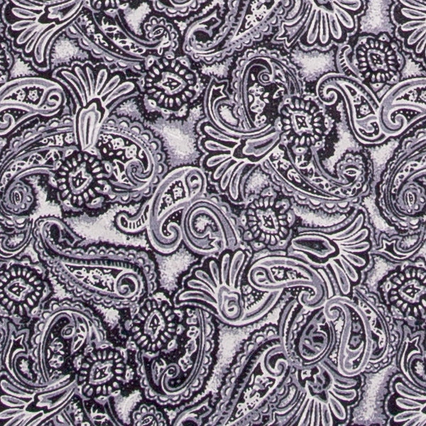Wyoming Traders |  XL Paisley Wild Rag - Image 3